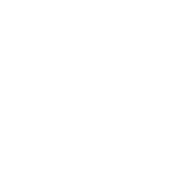 Section 2 Image