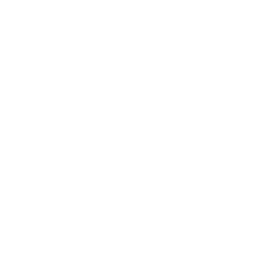 Section 1 Image